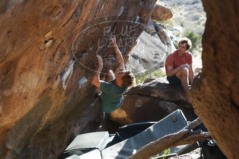 

Filename: SRM_20190329_1743290.jpg
Aperture: f/4.0
Shutter Speed: 1/250
Body: Canon EOS-1D Mark II
Lens: Canon EF 50mm f/1.8 II