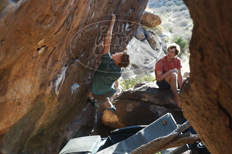 

Filename: SRM_20190329_1743320.jpg
Aperture: f/4.0
Shutter Speed: 1/250
Body: Canon EOS-1D Mark II
Lens: Canon EF 50mm f/1.8 II