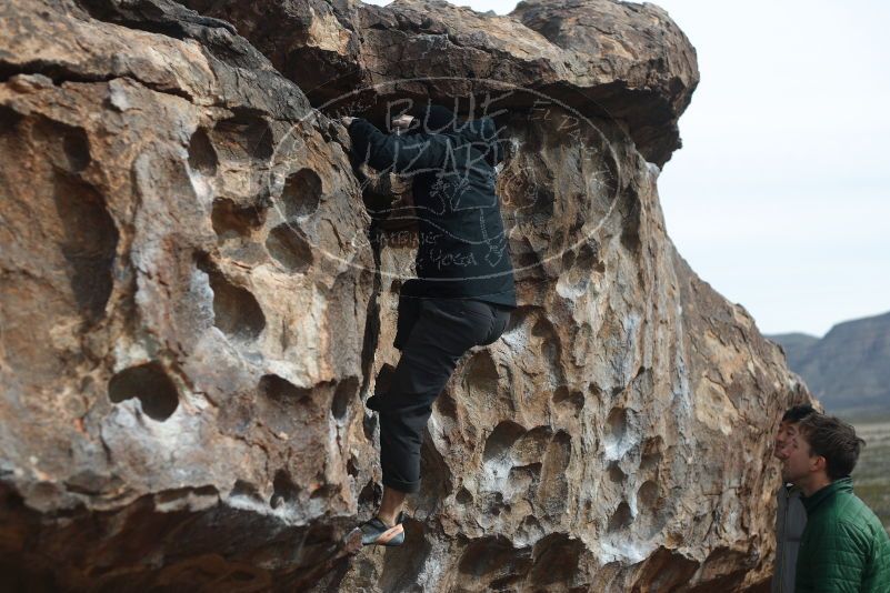 Bouldering in Hueco Tanks on 03/30/2019 with Blue Lizard Climbing and Yoga
Filename: SRM_20190330_0937100.jpg
Aperture: f/2.8
Shutter Speed: 1/800
Body: Canon EOS-1D Mark II
Lens: Canon EF 50mm f/1.8 II