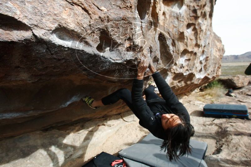 Bouldering in Hueco Tanks on 03/30/2019 with Blue Lizard Climbing and Yoga

Filename: SRM_20190330_0957090.jpg
Aperture: f/5.6
Shutter Speed: 1/250
Body: Canon EOS-1D Mark II
Lens: Canon EF 16-35mm f/2.8 L