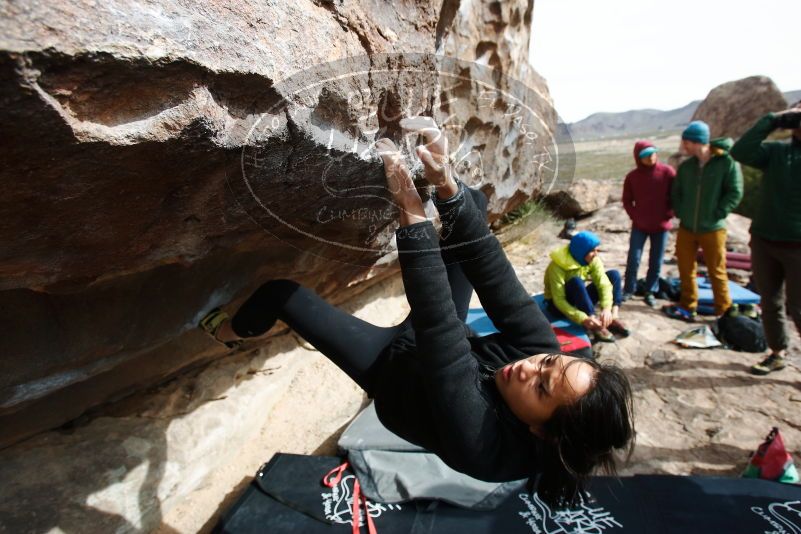 Bouldering in Hueco Tanks on 03/30/2019 with Blue Lizard Climbing and Yoga

Filename: SRM_20190330_1006210.jpg
Aperture: f/5.6
Shutter Speed: 1/250
Body: Canon EOS-1D Mark II
Lens: Canon EF 16-35mm f/2.8 L