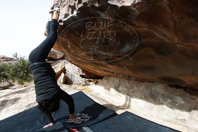 Bouldering in Hueco Tanks on 03/30/2019 with Blue Lizard Climbing and Yoga

Filename: SRM_20190330_1019360.jpg
Aperture: f/5.6
Shutter Speed: 1/250
Body: Canon EOS-1D Mark II
Lens: Canon EF 16-35mm f/2.8 L