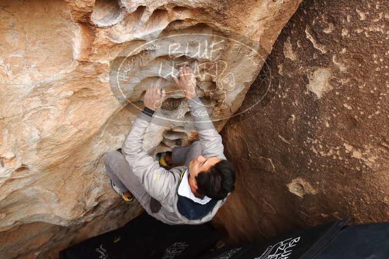 Bouldering in Hueco Tanks on 03/30/2019 with Blue Lizard Climbing and Yoga
Filename: SRM_20190330_1120570.jpg
Aperture: f/5.6
Shutter Speed: 1/320
Body: Canon EOS-1D Mark II
Lens: Canon EF 16-35mm f/2.8 L