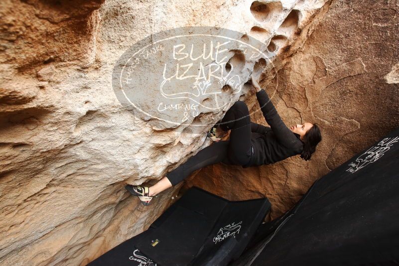 Bouldering in Hueco Tanks on 03/30/2019 with Blue Lizard Climbing and Yoga
Filename: SRM_20190330_1129370.jpg
Aperture: f/5.0
Shutter Speed: 1/200
Body: Canon EOS-1D Mark II
Lens: Canon EF 16-35mm f/2.8 L