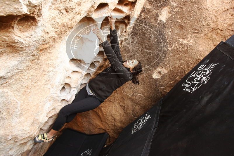 Bouldering in Hueco Tanks on 03/30/2019 with Blue Lizard Climbing and Yoga

Filename: SRM_20190330_1129480.jpg
Aperture: f/5.0
Shutter Speed: 1/200
Body: Canon EOS-1D Mark II
Lens: Canon EF 16-35mm f/2.8 L