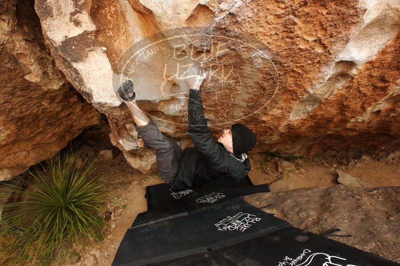 Bouldering in Hueco Tanks on 03/30/2019 with Blue Lizard Climbing and Yoga

Filename: SRM_20190330_1242470.jpg
Aperture: f/5.6
Shutter Speed: 1/400
Body: Canon EOS-1D Mark II
Lens: Canon EF 16-35mm f/2.8 L