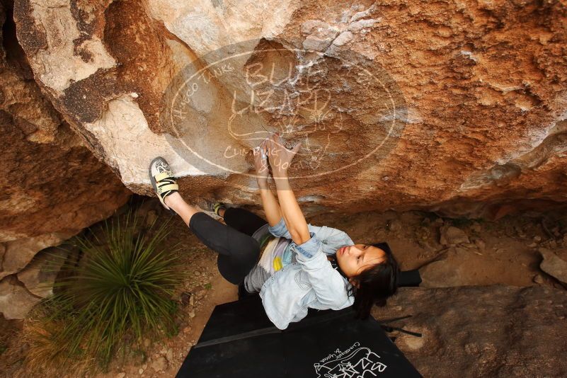 Bouldering in Hueco Tanks on 03/30/2019 with Blue Lizard Climbing and Yoga

Filename: SRM_20190330_1255510.jpg
Aperture: f/5.6
Shutter Speed: 1/500
Body: Canon EOS-1D Mark II
Lens: Canon EF 16-35mm f/2.8 L
