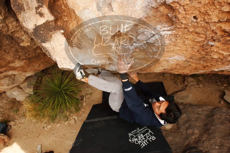 Bouldering in Hueco Tanks on 03/30/2019 with Blue Lizard Climbing and Yoga

Filename: SRM_20190330_1259370.jpg
Aperture: f/5.6
Shutter Speed: 1/320
Body: Canon EOS-1D Mark II
Lens: Canon EF 16-35mm f/2.8 L