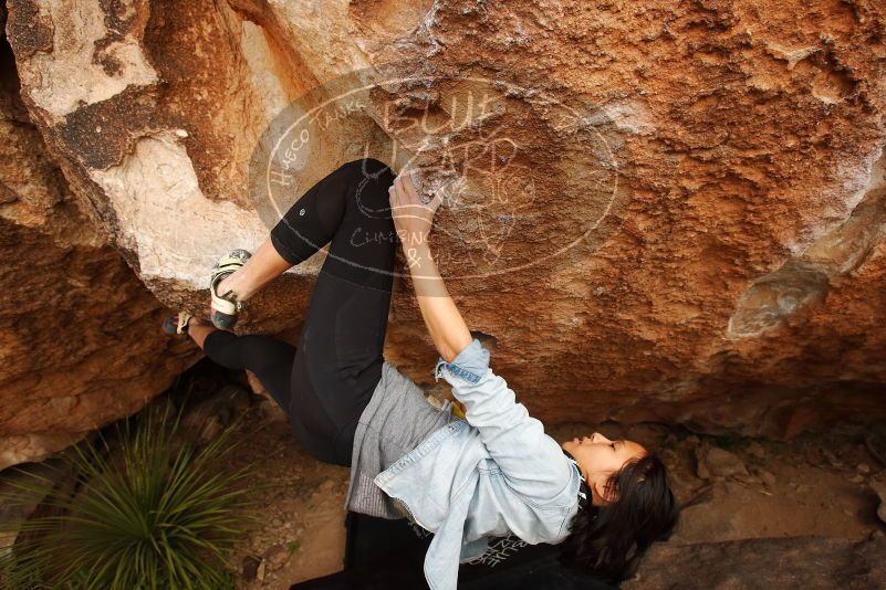 Bouldering in Hueco Tanks on 03/30/2019 with Blue Lizard Climbing and Yoga

Filename: SRM_20190330_1319050.jpg
Aperture: f/5.6
Shutter Speed: 1/400
Body: Canon EOS-1D Mark II
Lens: Canon EF 16-35mm f/2.8 L
