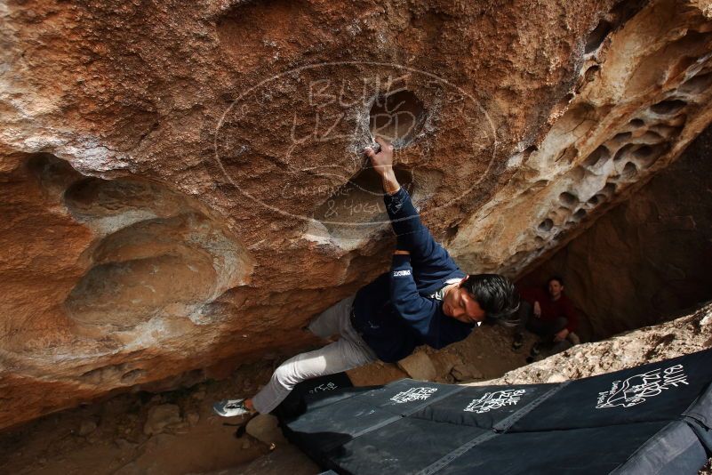 Bouldering in Hueco Tanks on 03/30/2019 with Blue Lizard Climbing and Yoga
Filename: SRM_20190330_1438500.jpg
Aperture: f/5.6
Shutter Speed: 1/250
Body: Canon EOS-1D Mark II
Lens: Canon EF 16-35mm f/2.8 L