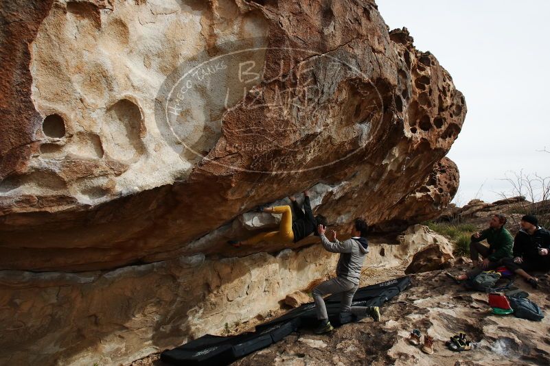 Bouldering in Hueco Tanks on 03/30/2019 with Blue Lizard Climbing and Yoga

Filename: SRM_20190330_1618510.jpg
Aperture: f/5.6
Shutter Speed: 1/640
Body: Canon EOS-1D Mark II
Lens: Canon EF 16-35mm f/2.8 L