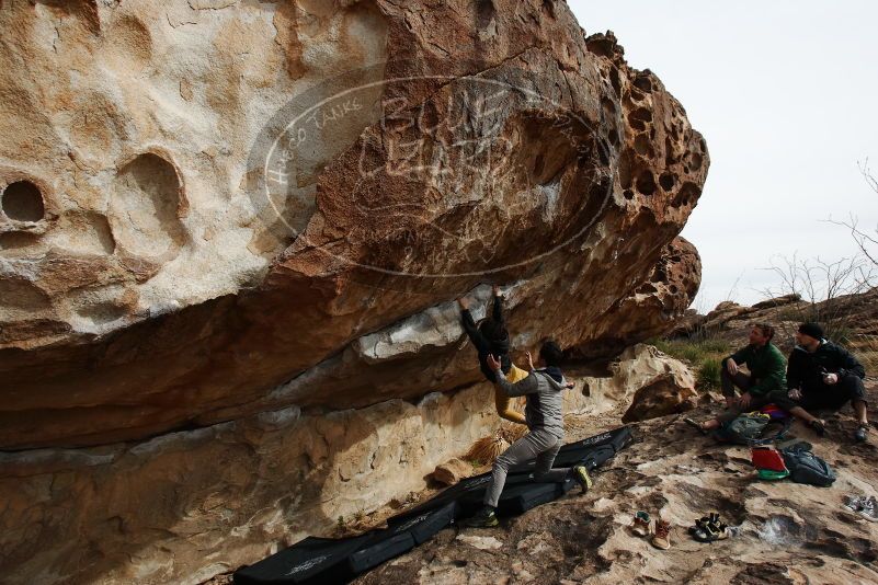 Bouldering in Hueco Tanks on 03/30/2019 with Blue Lizard Climbing and Yoga
Filename: SRM_20190330_1618572.jpg
Aperture: f/5.6
Shutter Speed: 1/640
Body: Canon EOS-1D Mark II
Lens: Canon EF 16-35mm f/2.8 L