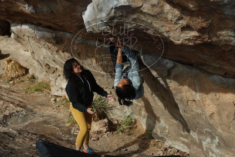 Bouldering in Hueco Tanks on 03/30/2019 with Blue Lizard Climbing and Yoga
Filename: SRM_20190330_1655070.jpg
Aperture: f/4.0
Shutter Speed: 1/640
Body: Canon EOS-1D Mark II
Lens: Canon EF 50mm f/1.8 II
