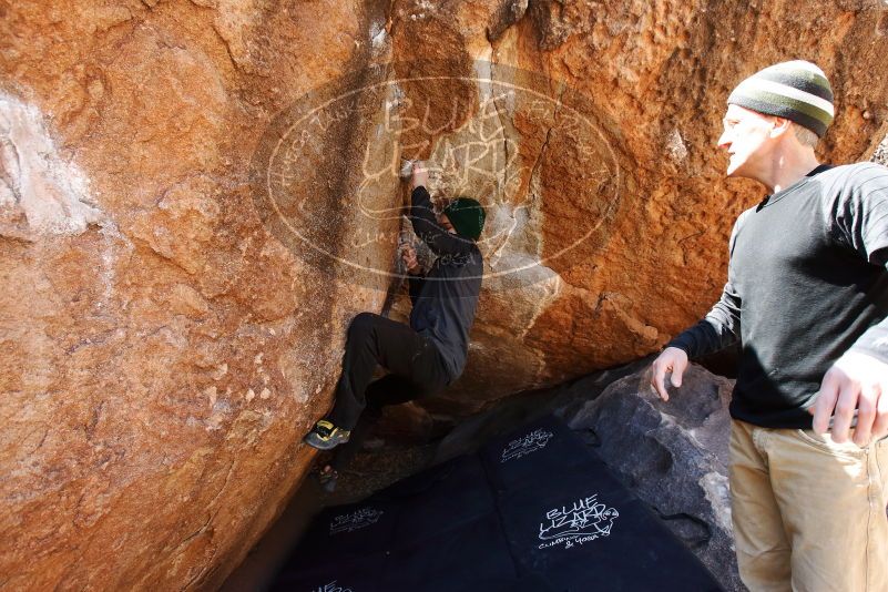Bouldering in Hueco Tanks on 03/31/2019 with Blue Lizard Climbing and Yoga
Filename: SRM_20190331_1212030.jpg
Aperture: f/5.6
Shutter Speed: 1/250
Body: Canon EOS-1D Mark II
Lens: Canon EF 16-35mm f/2.8 L