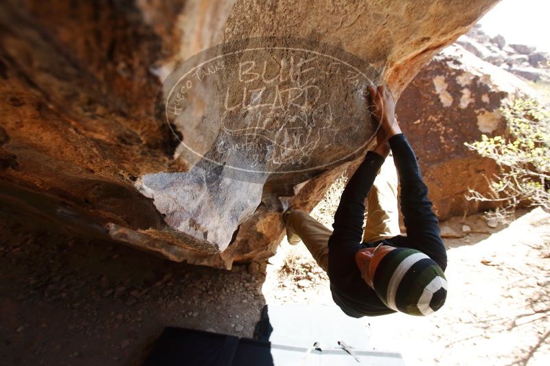 Bouldering in Hueco Tanks on 03/31/2019 with Blue Lizard Climbing and Yoga

Filename: SRM_20190331_1242330.jpg
Aperture: f/5.6
Shutter Speed: 1/250
Body: Canon EOS-1D Mark II
Lens: Canon EF 16-35mm f/2.8 L