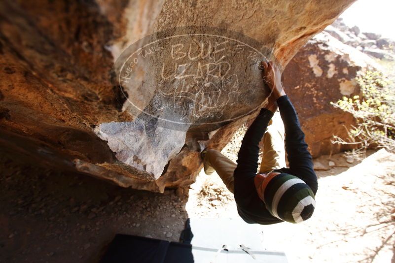 Bouldering in Hueco Tanks on 03/31/2019 with Blue Lizard Climbing and Yoga

Filename: SRM_20190331_1242340.jpg
Aperture: f/5.6
Shutter Speed: 1/250
Body: Canon EOS-1D Mark II
Lens: Canon EF 16-35mm f/2.8 L