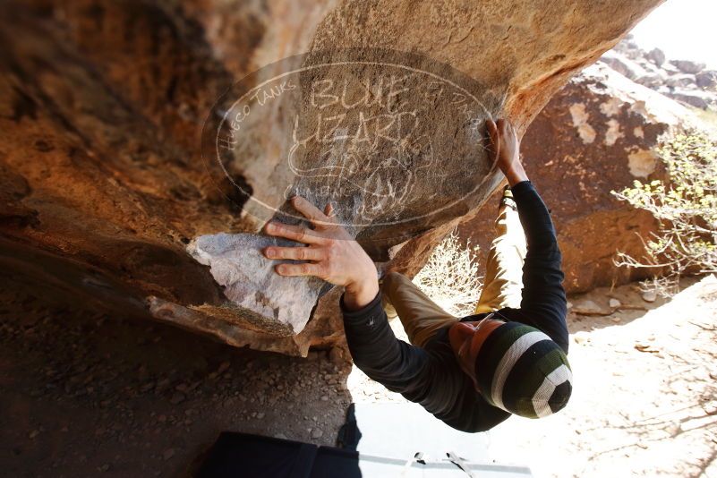 Bouldering in Hueco Tanks on 03/31/2019 with Blue Lizard Climbing and Yoga
Filename: SRM_20190331_1242341.jpg
Aperture: f/5.6
Shutter Speed: 1/250
Body: Canon EOS-1D Mark II
Lens: Canon EF 16-35mm f/2.8 L