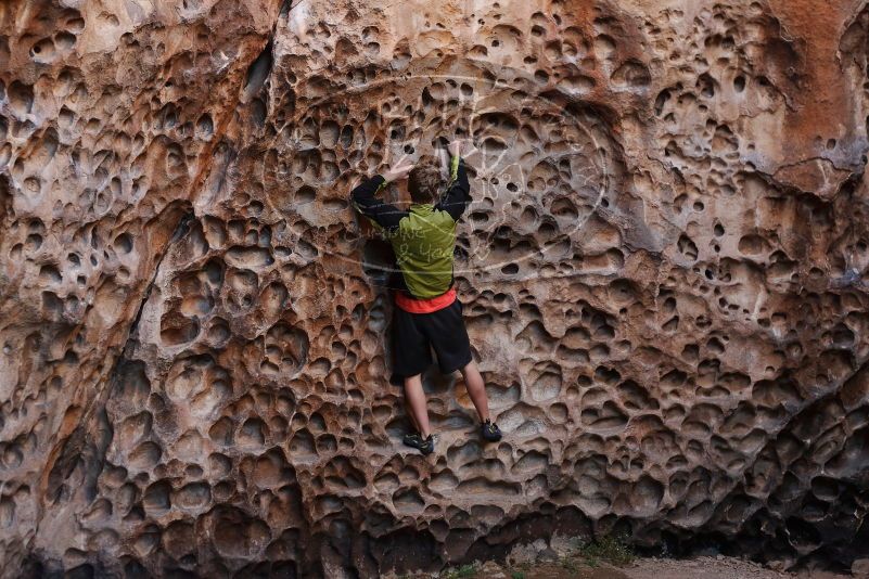 Bouldering in Hueco Tanks on 03/31/2019 with Blue Lizard Climbing and Yoga

Filename: SRM_20190331_1524470.jpg
Aperture: f/3.5
Shutter Speed: 1/200
Body: Canon EOS-1D Mark II
Lens: Canon EF 50mm f/1.8 II