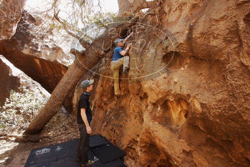 Bouldering in Hueco Tanks on 04/05/2019 with Blue Lizard Climbing and Yoga

Filename: SRM_20190405_1148210.jpg
Aperture: f/5.6
Shutter Speed: 1/160
Body: Canon EOS-1D Mark II
Lens: Canon EF 16-35mm f/2.8 L