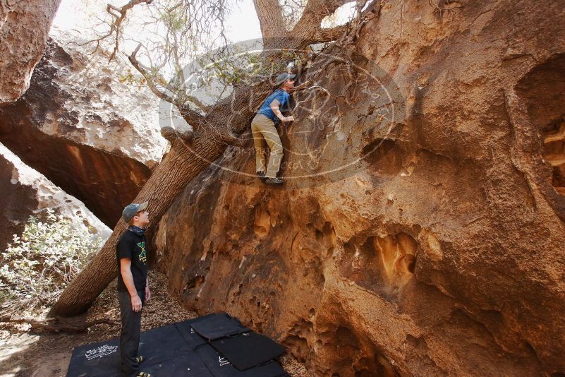 Bouldering in Hueco Tanks on 04/05/2019 with Blue Lizard Climbing and Yoga
Filename: SRM_20190405_1148350.jpg
Aperture: f/5.6
Shutter Speed: 1/125
Body: Canon EOS-1D Mark II
Lens: Canon EF 16-35mm f/2.8 L