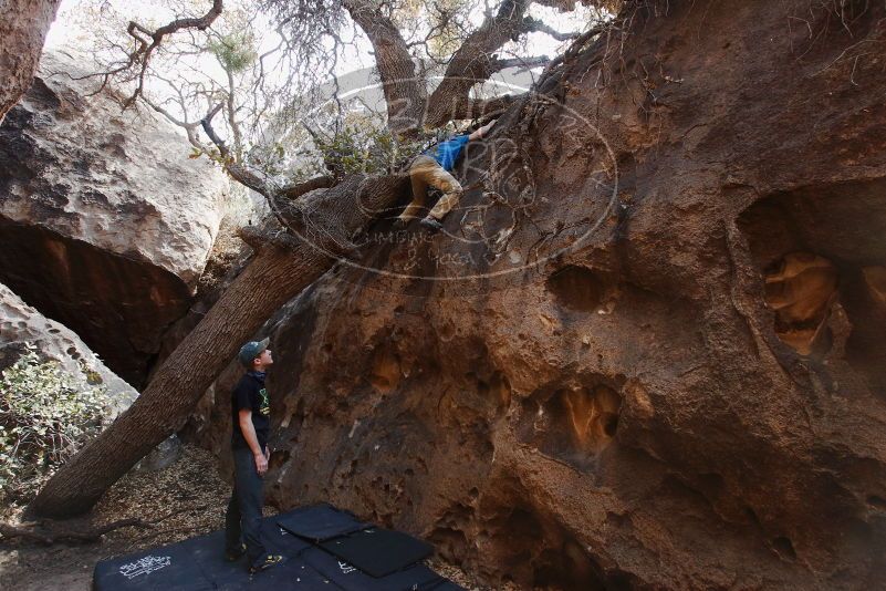 Bouldering in Hueco Tanks on 04/05/2019 with Blue Lizard Climbing and Yoga
Filename: SRM_20190405_1149140.jpg
Aperture: f/5.6
Shutter Speed: 1/125
Body: Canon EOS-1D Mark II
Lens: Canon EF 16-35mm f/2.8 L