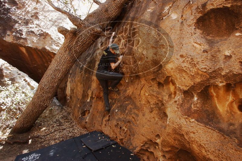 Bouldering in Hueco Tanks on 04/05/2019 with Blue Lizard Climbing and Yoga

Filename: SRM_20190405_1150520.jpg
Aperture: f/5.6
Shutter Speed: 1/160
Body: Canon EOS-1D Mark II
Lens: Canon EF 16-35mm f/2.8 L
