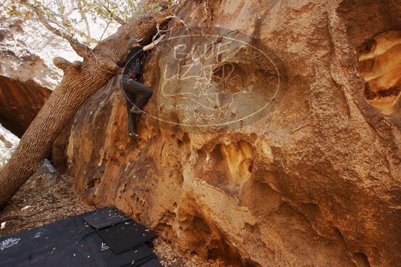 Bouldering in Hueco Tanks on 04/05/2019 with Blue Lizard Climbing and Yoga
Filename: SRM_20190405_1151030.jpg
Aperture: f/5.6
Shutter Speed: 1/125
Body: Canon EOS-1D Mark II
Lens: Canon EF 16-35mm f/2.8 L