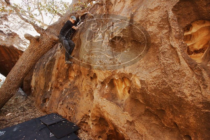 Bouldering in Hueco Tanks on 04/05/2019 with Blue Lizard Climbing and Yoga

Filename: SRM_20190405_1151040.jpg
Aperture: f/5.6
Shutter Speed: 1/125
Body: Canon EOS-1D Mark II
Lens: Canon EF 16-35mm f/2.8 L