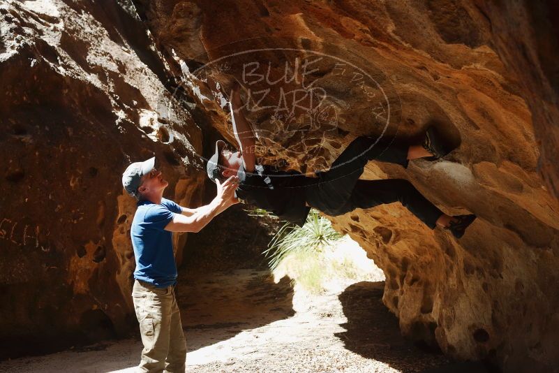 Bouldering in Hueco Tanks on 04/05/2019 with Blue Lizard Climbing and Yoga
Filename: SRM_20190405_1207050.jpg
Aperture: f/4.0
Shutter Speed: 1/800
Body: Canon EOS-1D Mark II
Lens: Canon EF 50mm f/1.8 II