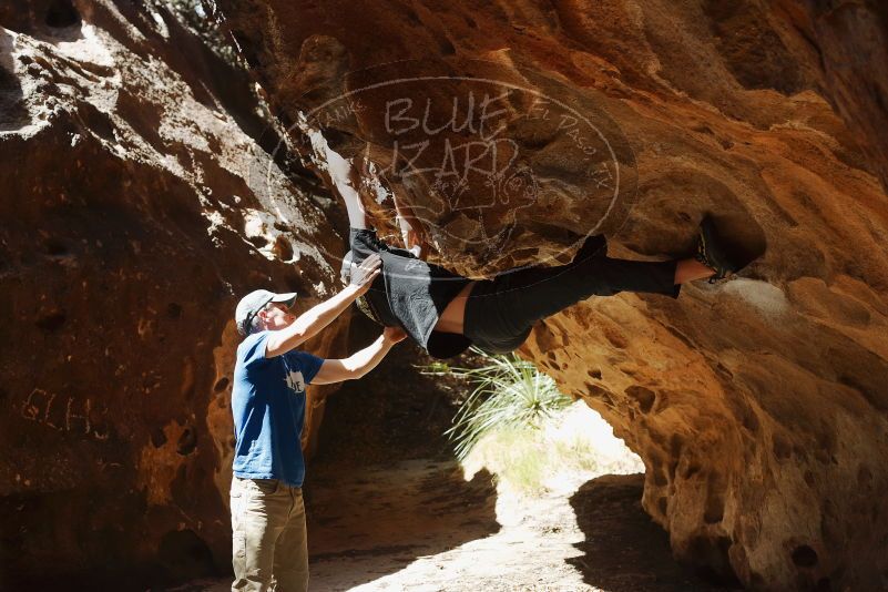 Bouldering in Hueco Tanks on 04/05/2019 with Blue Lizard Climbing and Yoga

Filename: SRM_20190405_1207140.jpg
Aperture: f/4.0
Shutter Speed: 1/1000
Body: Canon EOS-1D Mark II
Lens: Canon EF 50mm f/1.8 II