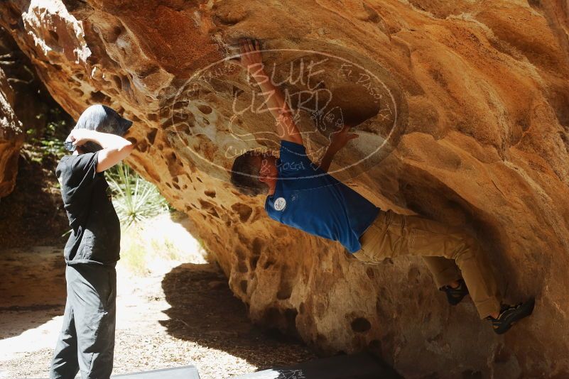 Bouldering in Hueco Tanks on 04/05/2019 with Blue Lizard Climbing and Yoga
Filename: SRM_20190405_1221510.jpg
Aperture: f/4.0
Shutter Speed: 1/640
Body: Canon EOS-1D Mark II
Lens: Canon EF 50mm f/1.8 II