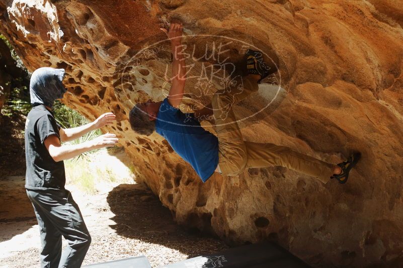 Bouldering in Hueco Tanks on 04/05/2019 with Blue Lizard Climbing and Yoga
Filename: SRM_20190405_1222011.jpg
Aperture: f/4.0
Shutter Speed: 1/640
Body: Canon EOS-1D Mark II
Lens: Canon EF 50mm f/1.8 II