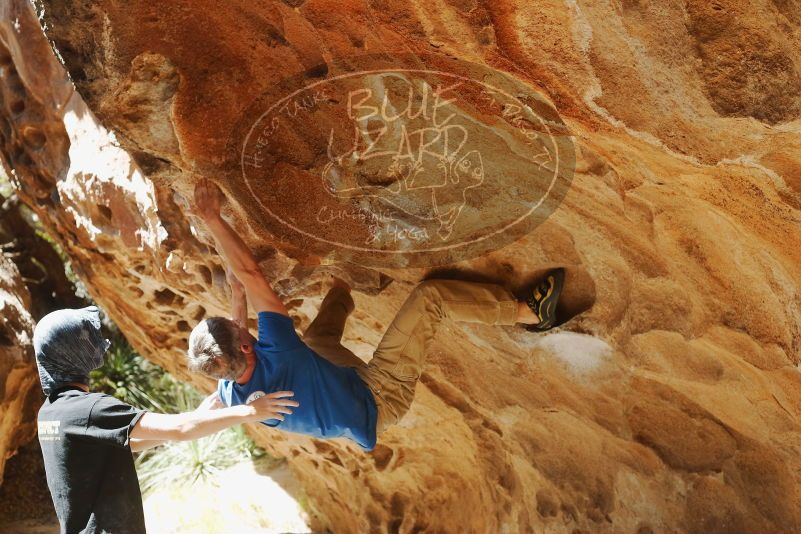 Bouldering in Hueco Tanks on 04/05/2019 with Blue Lizard Climbing and Yoga
Filename: SRM_20190405_1222300.jpg
Aperture: f/4.0
Shutter Speed: 1/400
Body: Canon EOS-1D Mark II
Lens: Canon EF 50mm f/1.8 II