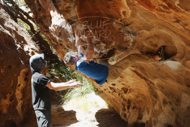 Bouldering in Hueco Tanks on 04/05/2019 with Blue Lizard Climbing and Yoga

Filename: SRM_20190405_1222320.jpg
Aperture: f/4.0
Shutter Speed: 1/640
Body: Canon EOS-1D Mark II
Lens: Canon EF 50mm f/1.8 II