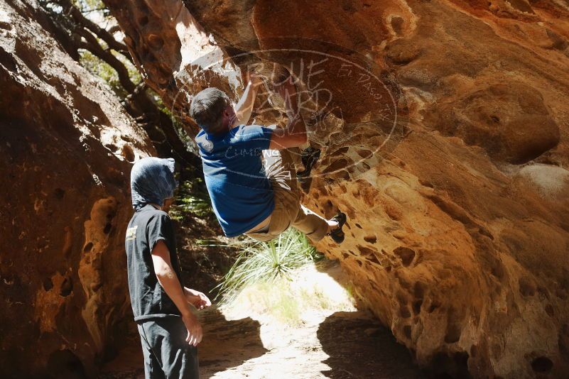 Bouldering in Hueco Tanks on 04/05/2019 with Blue Lizard Climbing and Yoga
Filename: SRM_20190405_1222380.jpg
Aperture: f/4.0
Shutter Speed: 1/800
Body: Canon EOS-1D Mark II
Lens: Canon EF 50mm f/1.8 II