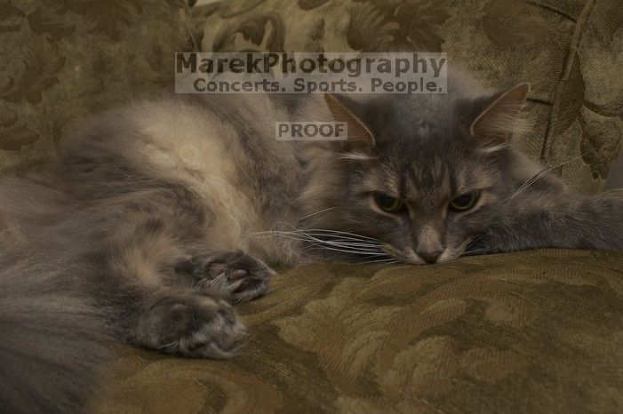 1020409145

Filename: SRM_20051224_234028_0.jpg
Aperture: f/8.0
Shutter Speed: 1/125
Body: Canon EOS 20D
Lens: Canon EF-S 18-55mm f/3.5-5.6