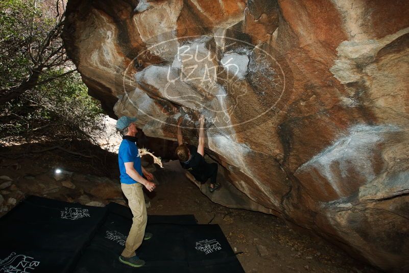 Bouldering in Hueco Tanks on 04/05/2019 with Blue Lizard Climbing and Yoga
Filename: SRM_20190405_1629270.jpg
Aperture: f/5.6
Shutter Speed: 1/250
Body: Canon EOS-1D Mark II
Lens: Canon EF 16-35mm f/2.8 L