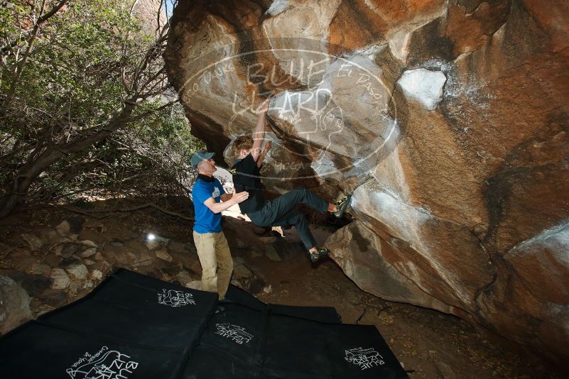 Bouldering in Hueco Tanks on 04/05/2019 with Blue Lizard Climbing and Yoga

Filename: SRM_20190405_1629500.jpg
Aperture: f/5.6
Shutter Speed: 1/250
Body: Canon EOS-1D Mark II
Lens: Canon EF 16-35mm f/2.8 L