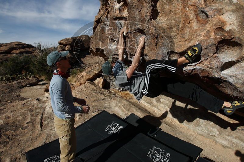Bouldering in Hueco Tanks on 04/06/2019 with Blue Lizard Climbing and Yoga

Filename: SRM_20190406_0919120.jpg
Aperture: f/5.6
Shutter Speed: 1/500
Body: Canon EOS-1D Mark II
Lens: Canon EF 16-35mm f/2.8 L