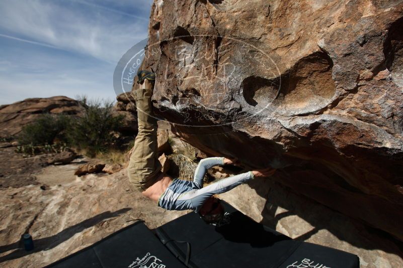 Bouldering in Hueco Tanks on 04/06/2019 with Blue Lizard Climbing and Yoga

Filename: SRM_20190406_0932270.jpg
Aperture: f/5.6
Shutter Speed: 1/500
Body: Canon EOS-1D Mark II
Lens: Canon EF 16-35mm f/2.8 L