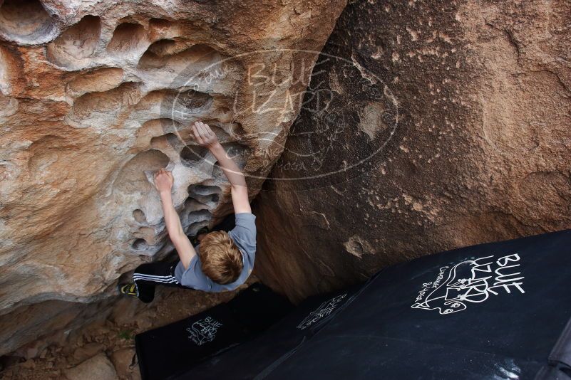 Bouldering in Hueco Tanks on 04/06/2019 with Blue Lizard Climbing and Yoga
Filename: SRM_20190406_1145130.jpg
Aperture: f/5.6
Shutter Speed: 1/200
Body: Canon EOS-1D Mark II
Lens: Canon EF 16-35mm f/2.8 L