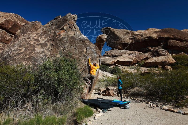 Bouldering in Hueco Tanks on 04/13/2019 with Blue Lizard Climbing and Yoga
Filename: SRM_20190413_0942580.jpg
Aperture: f/5.6
Shutter Speed: 1/500
Body: Canon EOS-1D Mark II
Lens: Canon EF 16-35mm f/2.8 L