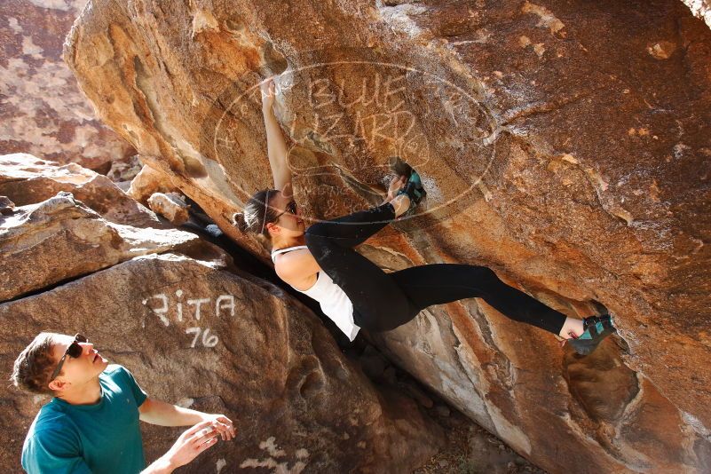 Bouldering in Hueco Tanks on 04/13/2019 with Blue Lizard Climbing and Yoga
Filename: SRM_20190413_1028250.jpg
Aperture: f/5.6
Shutter Speed: 1/200
Body: Canon EOS-1D Mark II
Lens: Canon EF 16-35mm f/2.8 L