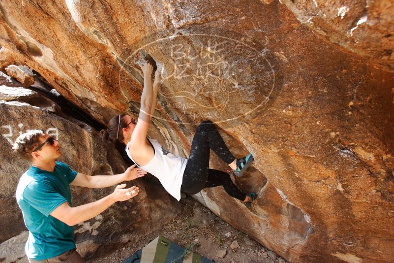 Bouldering in Hueco Tanks on 04/13/2019 with Blue Lizard Climbing and Yoga
Filename: SRM_20190413_1042030.jpg
Aperture: f/5.0
Shutter Speed: 1/200
Body: Canon EOS-1D Mark II
Lens: Canon EF 16-35mm f/2.8 L