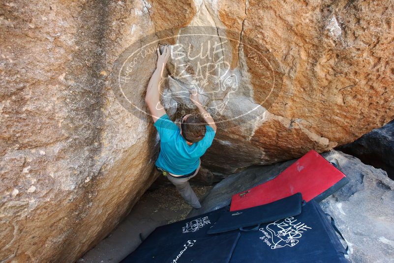 Bouldering in Hueco Tanks on 04/13/2019 with Blue Lizard Climbing and Yoga
Filename: SRM_20190413_1105090.jpg
Aperture: f/5.0
Shutter Speed: 1/250
Body: Canon EOS-1D Mark II
Lens: Canon EF 16-35mm f/2.8 L