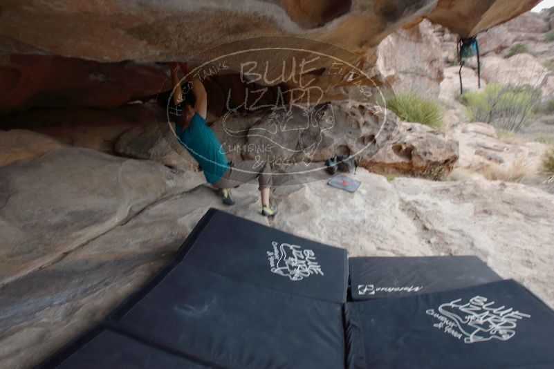 Bouldering in Hueco Tanks on 04/13/2019 with Blue Lizard Climbing and Yoga
Filename: SRM_20190413_1215280.jpg
Aperture: f/5.6
Shutter Speed: 1/160
Body: Canon EOS-1D Mark II
Lens: Canon EF 16-35mm f/2.8 L