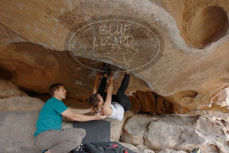 Bouldering in Hueco Tanks on 04/13/2019 with Blue Lizard Climbing and Yoga
Filename: SRM_20190413_1239110.jpg
Aperture: f/5.6
Shutter Speed: 1/250
Body: Canon EOS-1D Mark II
Lens: Canon EF 16-35mm f/2.8 L