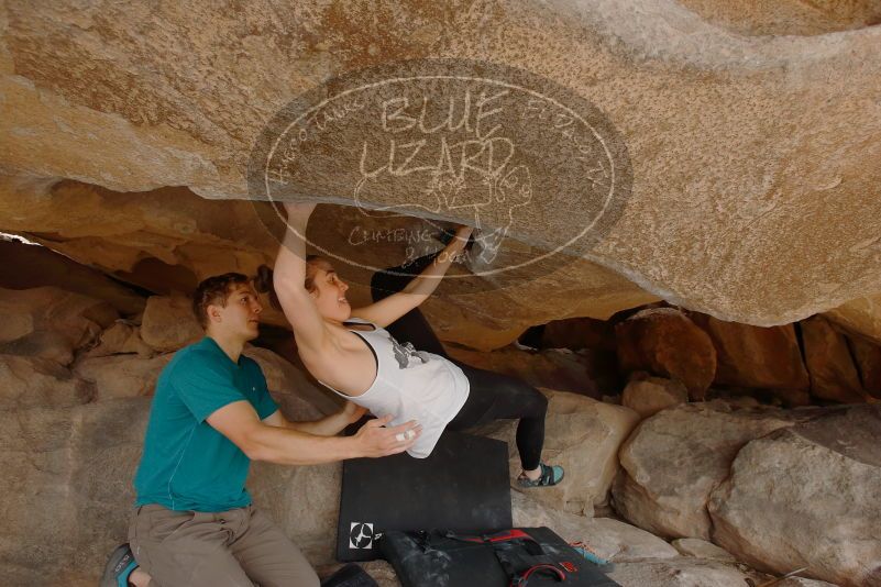 Bouldering in Hueco Tanks on 04/13/2019 with Blue Lizard Climbing and Yoga
Filename: SRM_20190413_1254560.jpg
Aperture: f/5.6
Shutter Speed: 1/250
Body: Canon EOS-1D Mark II
Lens: Canon EF 16-35mm f/2.8 L