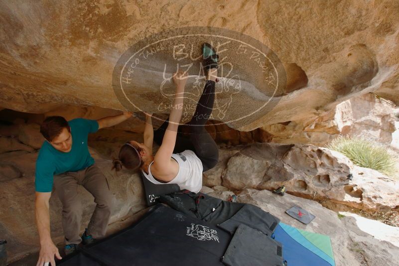 Bouldering in Hueco Tanks on 04/13/2019 with Blue Lizard Climbing and Yoga
Filename: SRM_20190413_1255160.jpg
Aperture: f/5.6
Shutter Speed: 1/400
Body: Canon EOS-1D Mark II
Lens: Canon EF 16-35mm f/2.8 L