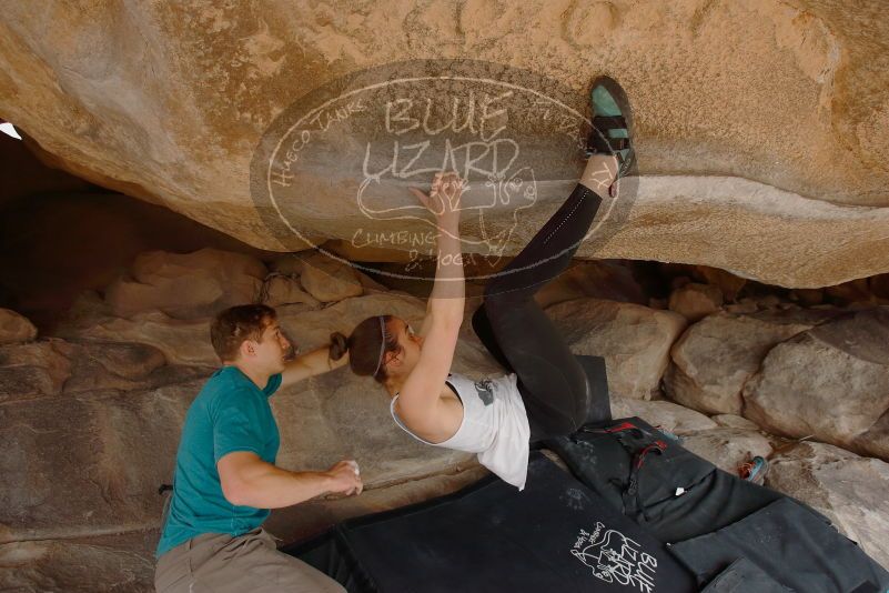Bouldering in Hueco Tanks on 04/13/2019 with Blue Lizard Climbing and Yoga
Filename: SRM_20190413_1255210.jpg
Aperture: f/5.6
Shutter Speed: 1/320
Body: Canon EOS-1D Mark II
Lens: Canon EF 16-35mm f/2.8 L
